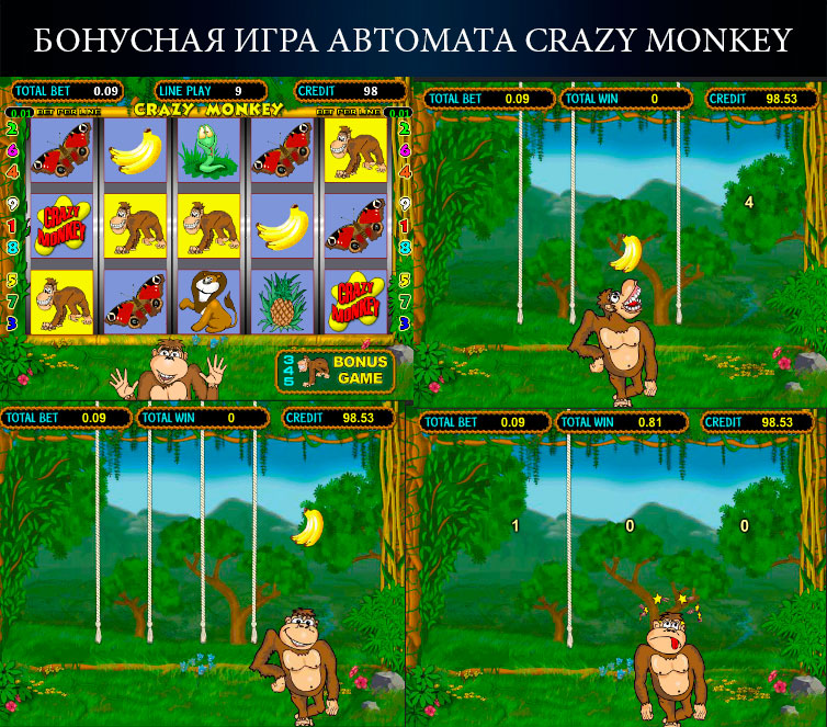 Хочу Поиграть На Деньги В Crazy Monkey